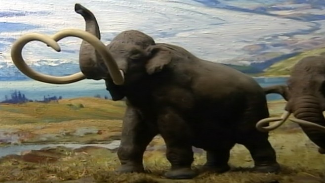 Woolly Mammoth Resurrection? Scientists claim they're close to resurrecting the woolly mammoth