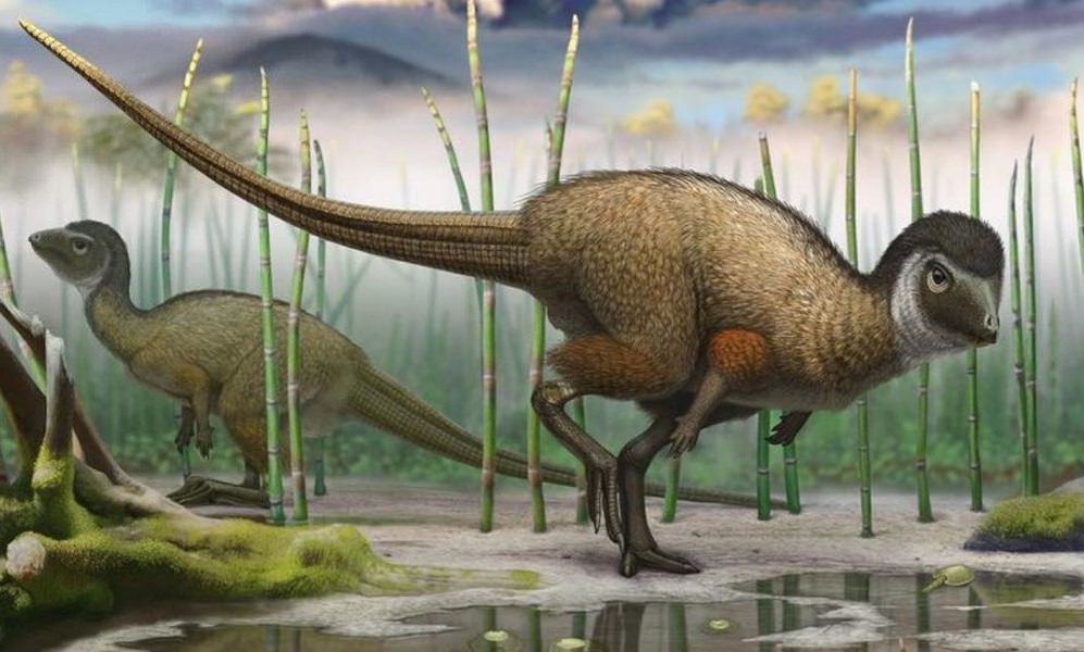 Dinosaurs May Have Originated In The UK, A New Study Reveals