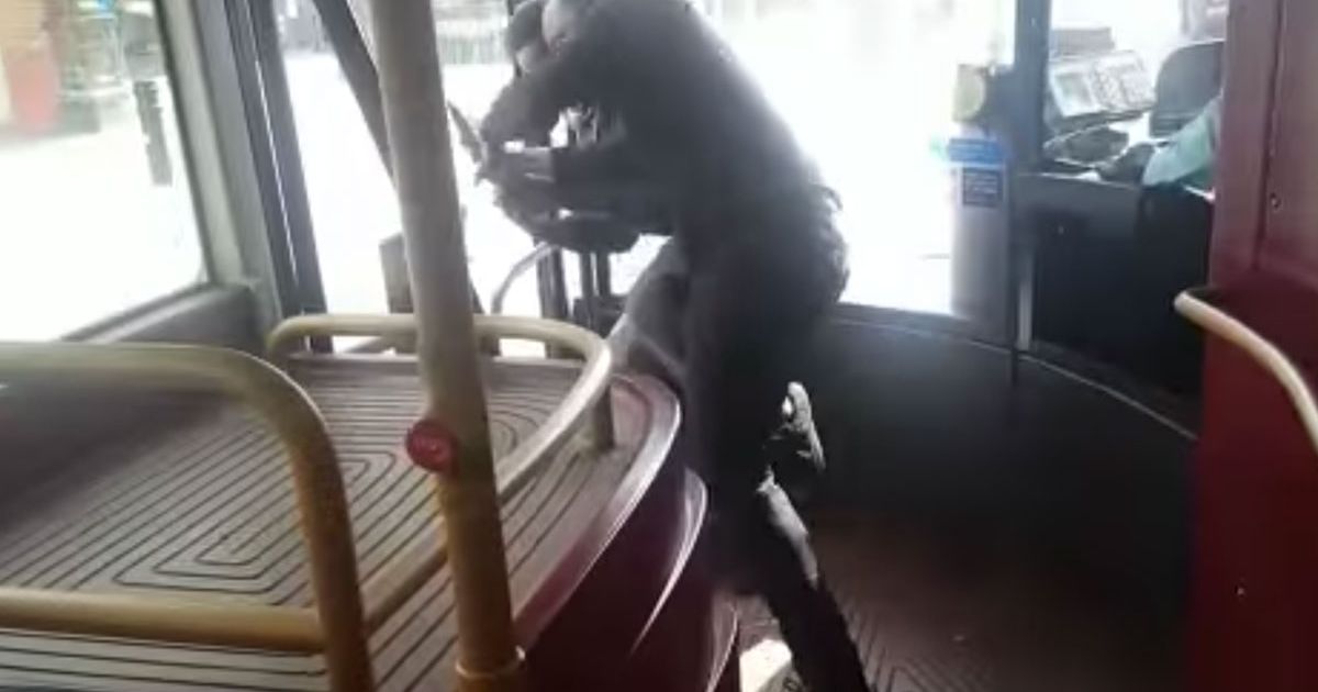 London Bus: Terrifying moment hero passenger disarms 'knifeman' (Video)