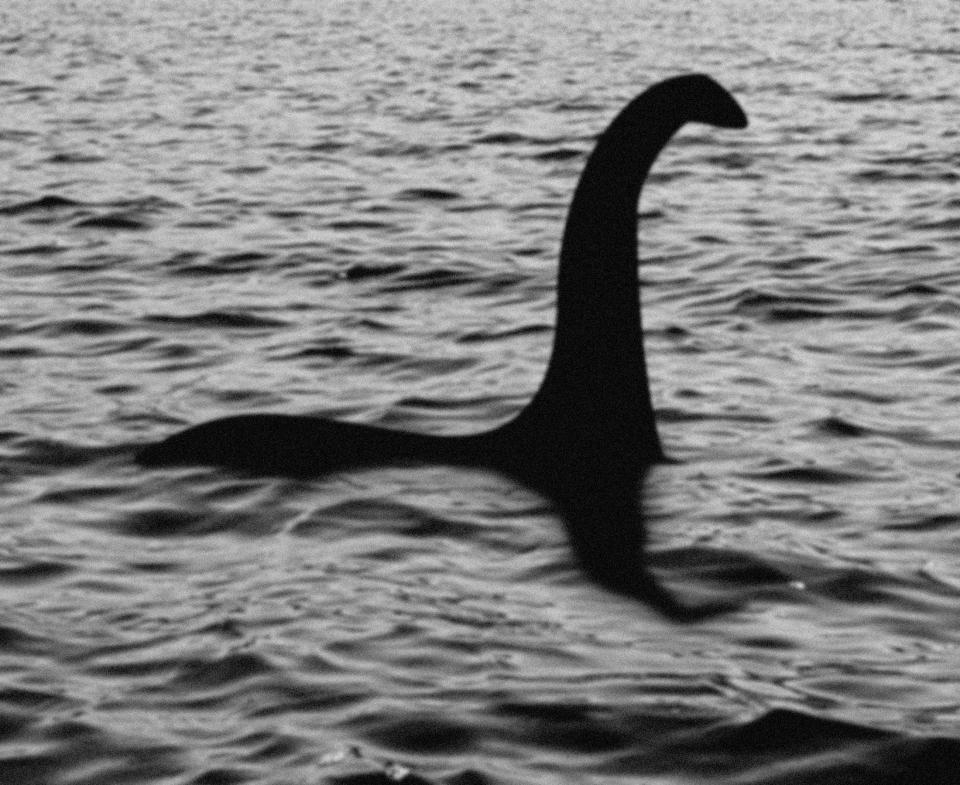 Nessie: Researcher Believes DNA Test Will Finally Solve The Loch Ness Monster Mystery
