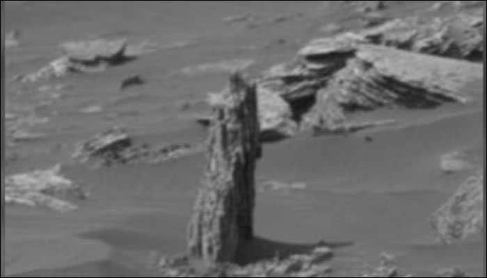 Tree stump on Mars? Existence of vegetation on Red planet possible, claims alien hunter (Video)