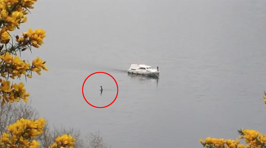 Loch Ness Monster alive? New video of Nessie sparks conspiracy theories