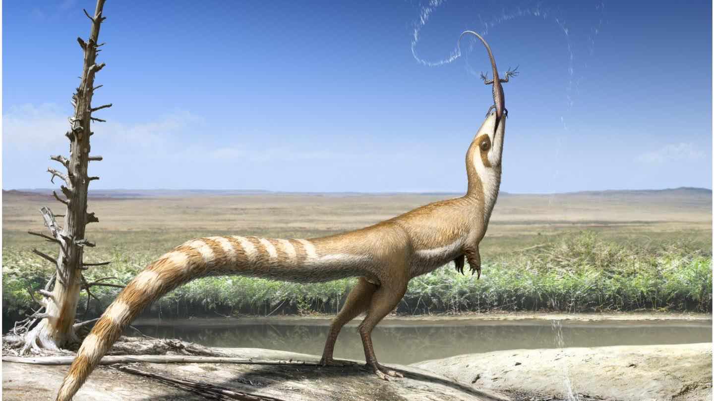 Small dinosaur used colours for protection, says new research