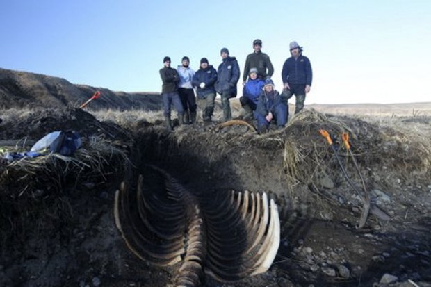 Remains of extinct giant sea monster found (Picture)