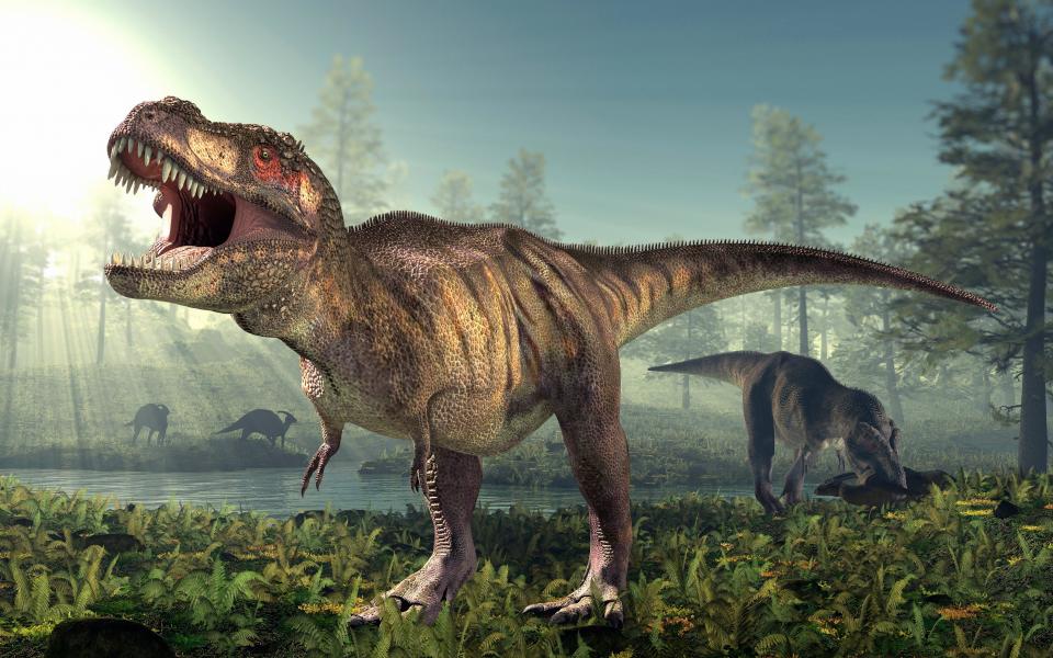 T. Rex's tiny arms may have been 'vicious weapons', researchers say