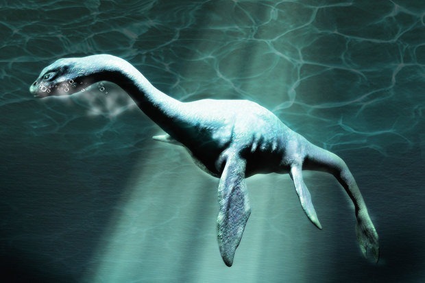 Ancient Sea Monster lived in Antarctic 150 million years ago