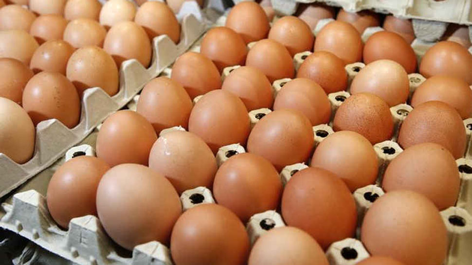 Norway's Olympic team meant to order 1,500 eggs