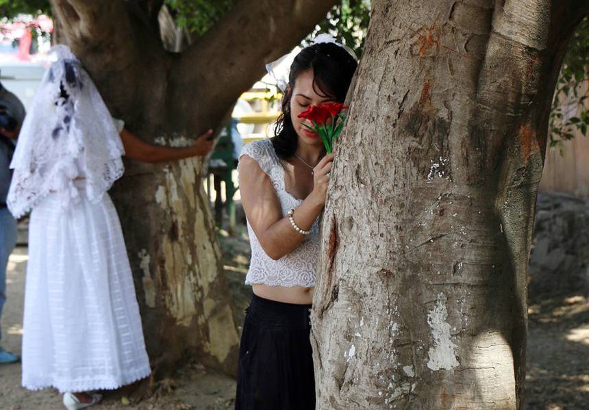 Woman marries tree to protest development