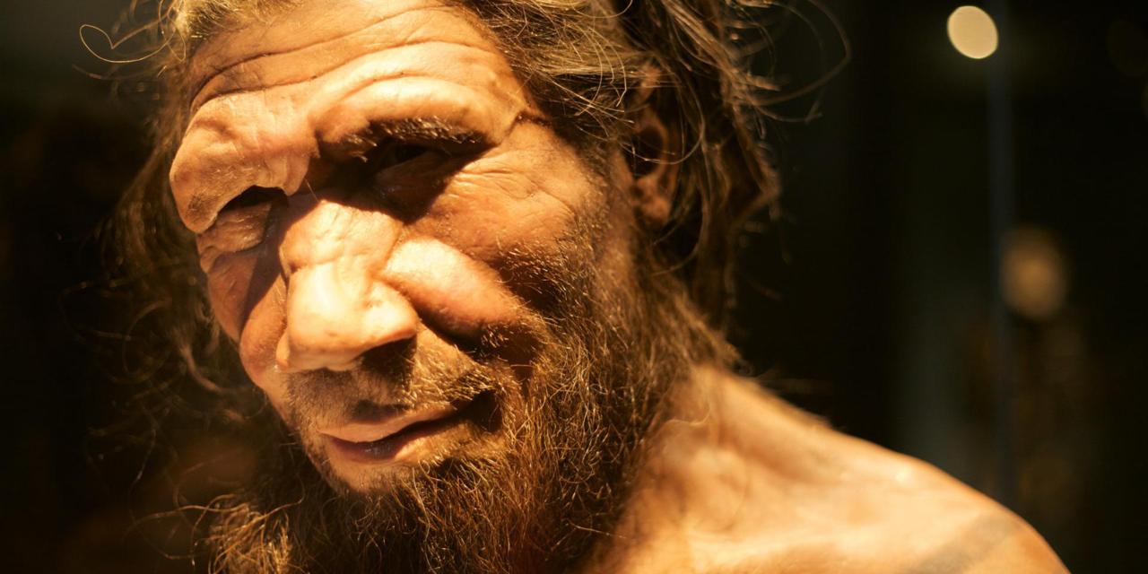 New Research: Why Neanderthals Had Faces That Were So Different From Ours