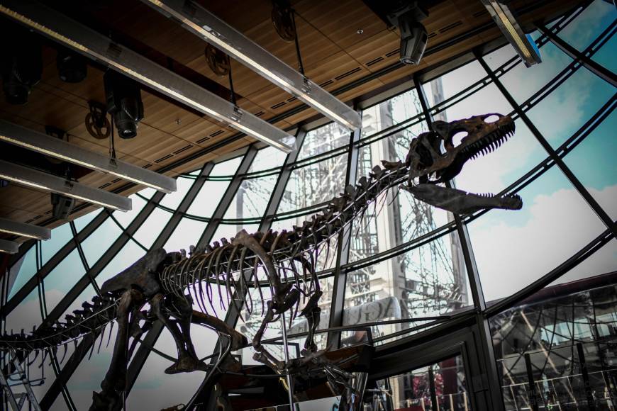 Rare dinosaur skeleton sells for over $2 million at Paris auction