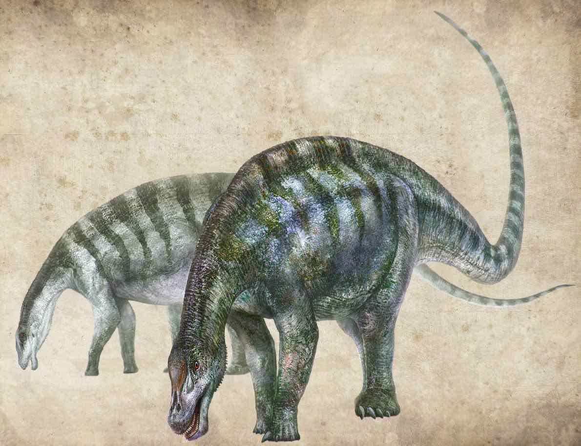 Amazing Dragon Dinosaur Species Discovered in China