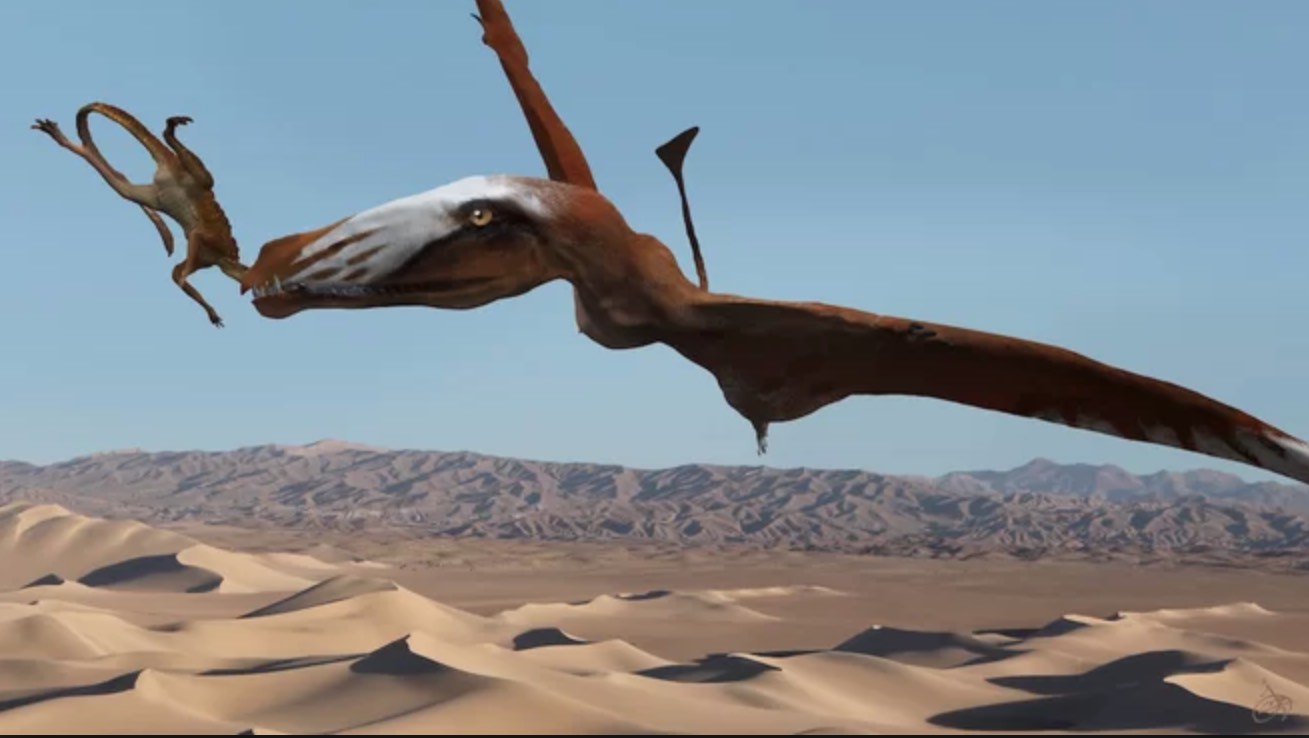 New species of pterosaur discovered in Utah desert