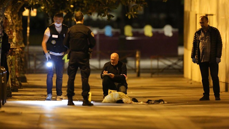 Paris knife attack: Afghan man stabs seven, tourists among wounded