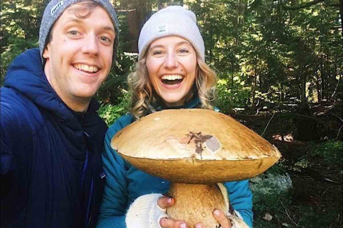 Giant mushroom find makes Thanksgiving tastier for couple (Picture)