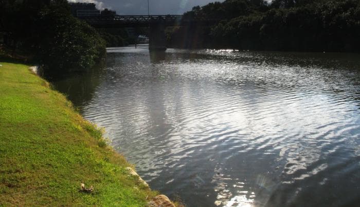 Woman's body found in Parramatta river, Report
