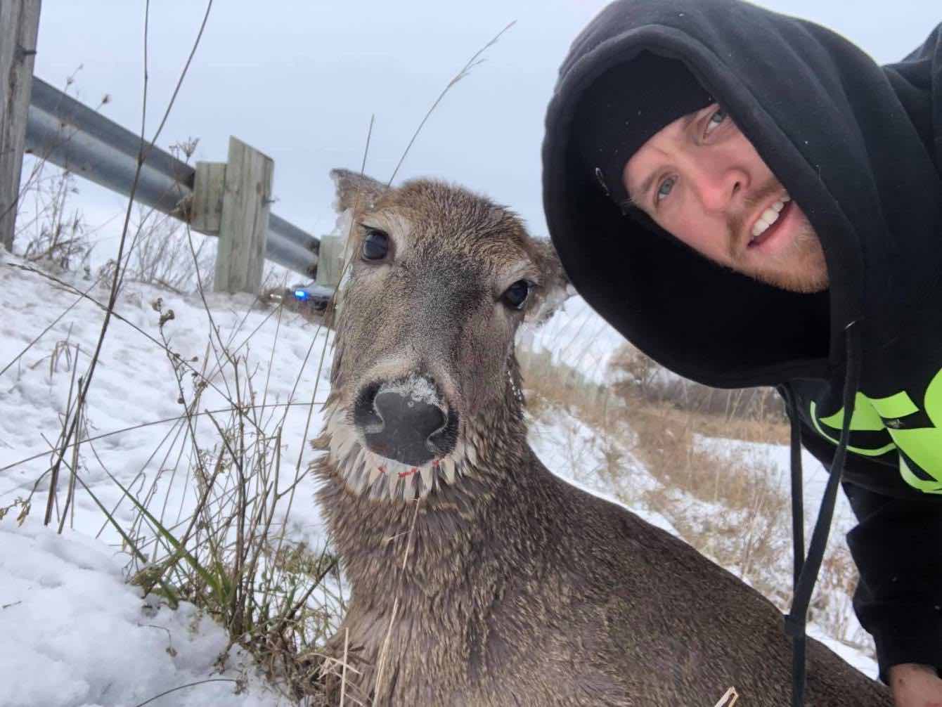 Couple rescue deer from frigid water in rowboat (Watch)