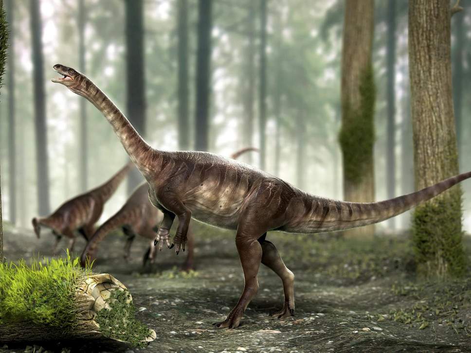 Vegetarian dinosaur discovered in South America (Reports)